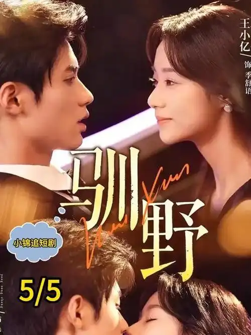 青春方程式 电视剧 治愈 2025